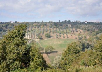 dintorni - Rustico Villa Brunna, Tarano - foto 17