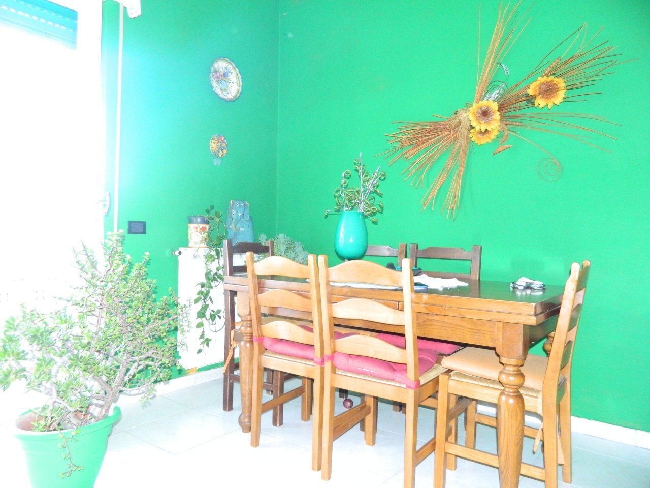 DSCN3983.JPG - Appartamento Luni - foto 2