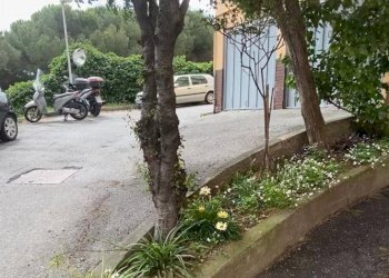 Box via Mongrifone, Savona (zona Mongrifone) - foto 2