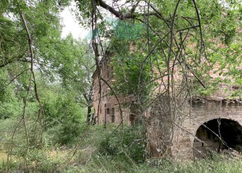 Rustico CHIUSA, Agugliano - foto 6