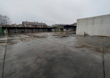 Zona - Capannone via dei Rovedi, Pregnana Milanese - foto 29