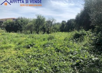 giardino - Casale isola, Siracusa - foto 8