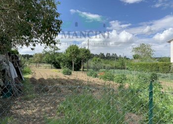 Rustico SPINA, Jesi - foto 20