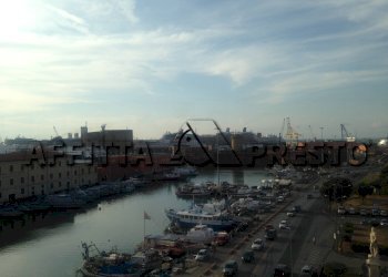 Commercial Activity Via Fiume, Livorno - photo 10