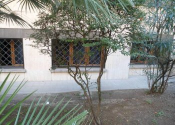 Giardino - Ufficio via dei Mirtilli, Bologna (zona Murri) - foto 43