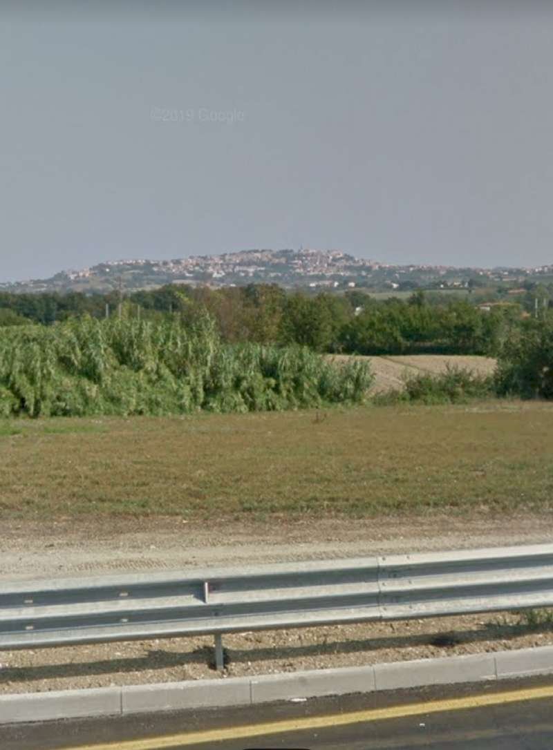 20200518_134206 - Agricultural land Osimo - photo 2