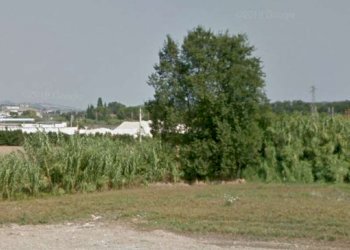 20200518_134300 - Terreno agricolo Osimo - foto 1