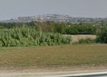 20200518_134206 - Terreno agricolo Osimo - foto 2