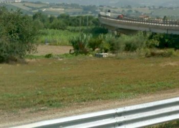 20200518_134131 - Terreno agricolo Osimo - foto 3