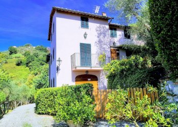 20180925_120712-EFFECTS.jpg - Rustico Via dei Poveri Vecchi, Lucca - foto 2