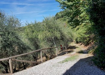 20180925_120845.jpg - Rustico Via dei Poveri Vecchi, Lucca - foto 6