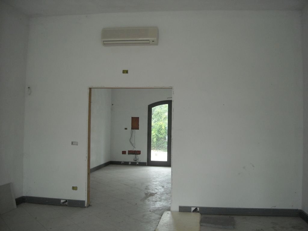 affitto_capannone_a_pistoia_2760060441651069309.jp - Commercial Premises Via Beccheria, Lucca - photo 3