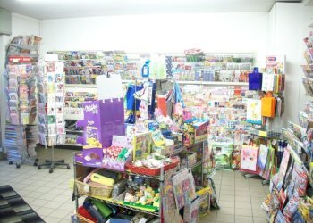 100_6289-1024x768.jpg - Edicole - Edicole con Chiosco Via Gaetano Luporini, Lucca - foto 5