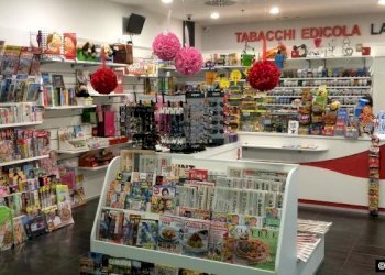 135_1474035322-3OK.jpg_large.jpg - Edicole - Edicole con Chiosco Via Gaetano Luporini, Lucca - foto 9