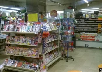 235_1474278843-1mod.jpg_large.jpg - Edicole - Edicole con Chiosco Via Gaetano Luporini, Lucca - foto 13