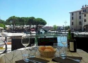 images.jpeg - Ristorante Viale Michelangelo Buonarroti, Viareggio - foto 11