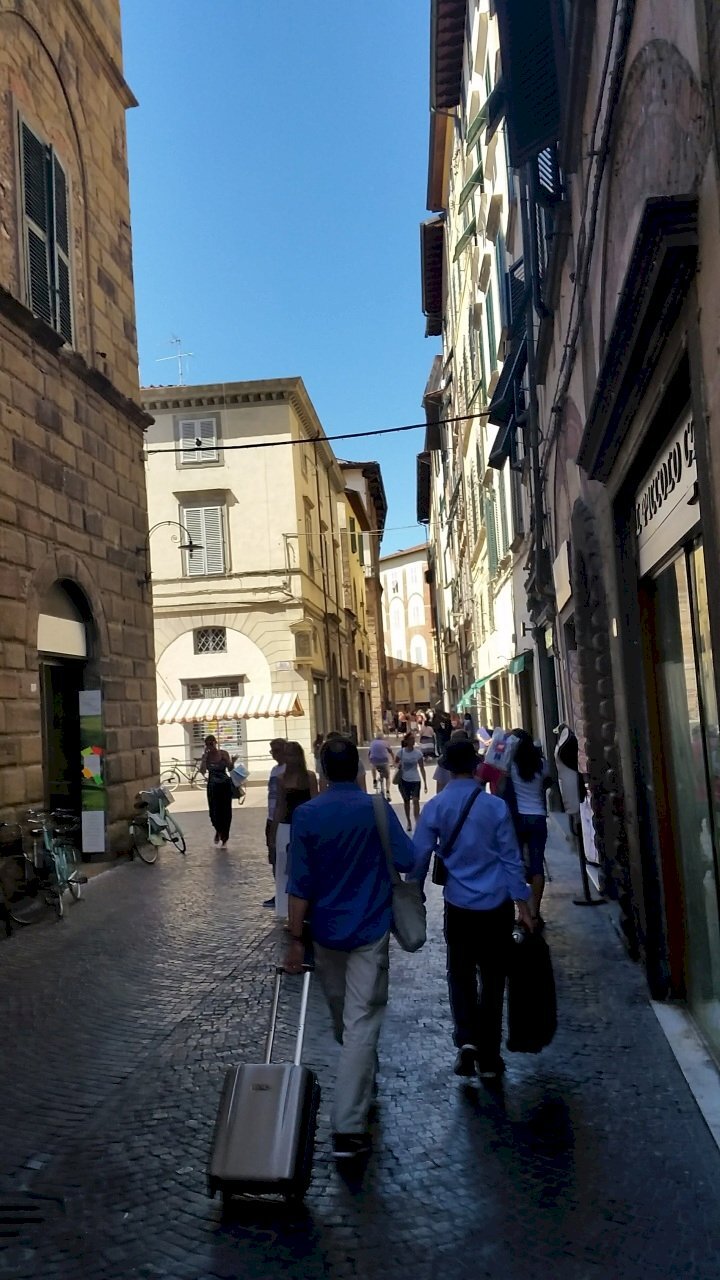 20170620_110657.jpg - Abbigliamento - Intimo beccheri, Lucca - foto 2