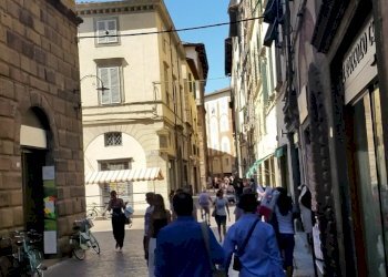 20170620_110657.jpg - Abbigliamento - Intimo beccheri, Lucca - foto 2