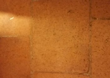 20161129_173937.jpg - Abbigliamento - Intimo beccheri, Lucca - foto 5