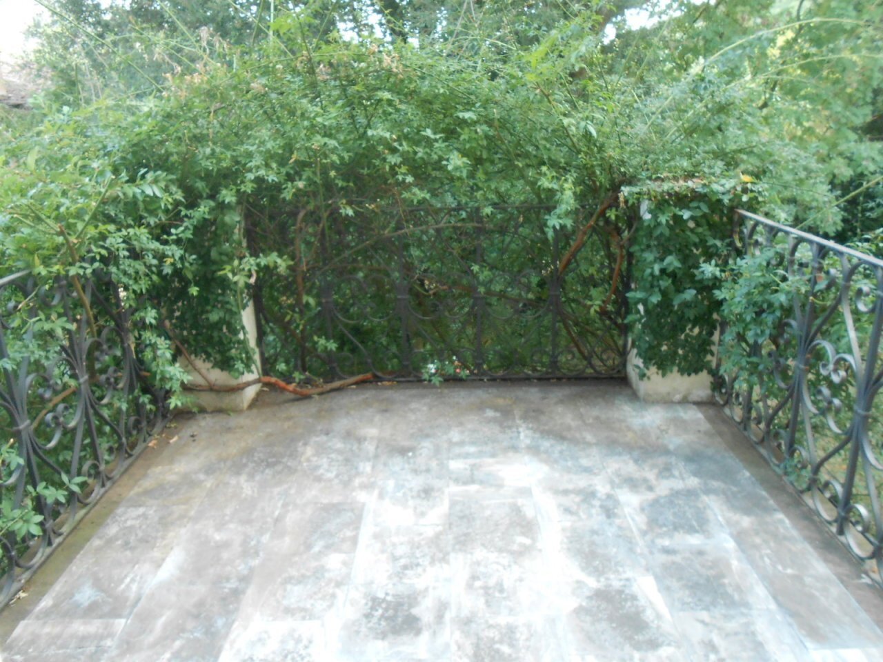 DSCN0149.JPG - Villa Via Francesco Ferraris, Lucca - foto 3