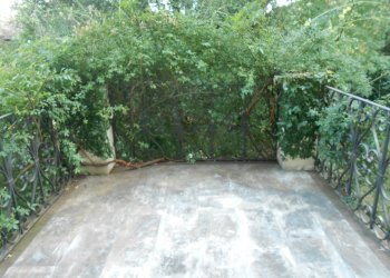 DSCN0149.JPG - Villa Via Francesco Ferraris, Lucca - foto 3