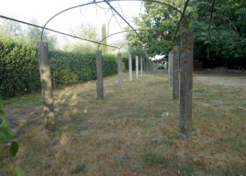 DSCN0091.JPG - Villa Via Francesco Ferraris, Lucca - foto 5