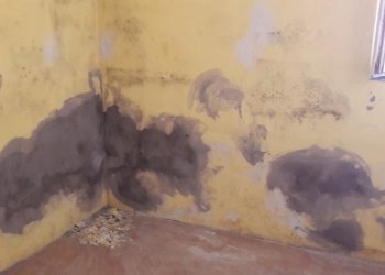 20170728_165638.jpg - Locale Commerciale Via Giovanni Sercambi, Lucca - foto 8