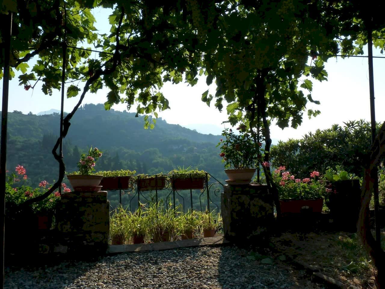 FB_IMG_1505821379097.jpg - Rustico Strada del Cimitero, Lucca - foto 2