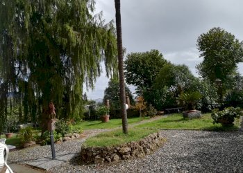 IMG_20170919_140537_resized_20170919_072618676.jpg - Rustico Strada del Cimitero, Lucca - foto 3