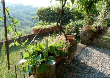 FB_IMG_1505821386510.jpg - Rustico Strada del Cimitero, Lucca - foto 5