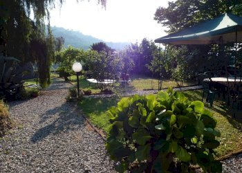 FB_IMG_1505821359700.jpg - Rustico Strada del Cimitero, Lucca - foto 7