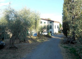 DSCN0035.JPG - Rustico Strada del Cimitero, Lucca - foto 9
