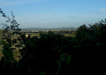 DSCN0041.JPG - Rustico Strada del Cimitero, Lucca - foto 13