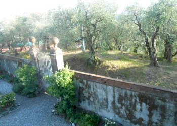 DSCN9995.JPG - Rustico Strada del Cimitero, Lucca - foto 15