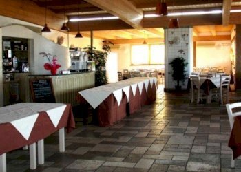 2-1.jpg.jpg - Ristorante Viale Europa 18, Viareggio - foto 2