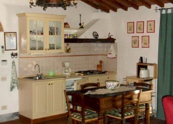 SDC12427.JPG - Rustico Via per massaciuccoli, San Giuliano Terme - foto 1