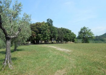 DSCN9898.JPG - Rustico Via per massaciuccoli, San Giuliano Terme - foto 8