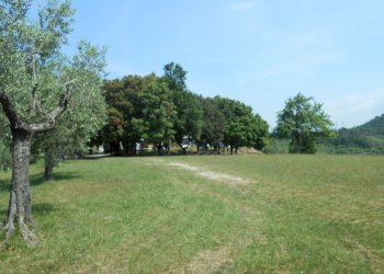 DSCN9899.JPG - Rustico Via per massaciuccoli, San Giuliano Terme - foto 9