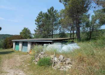 DSCN9900.JPG - Rustico Via per massaciuccoli, San Giuliano Terme - foto 10