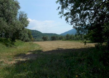 DSCN9903.JPG - Rustico Via per massaciuccoli, San Giuliano Terme - foto 17