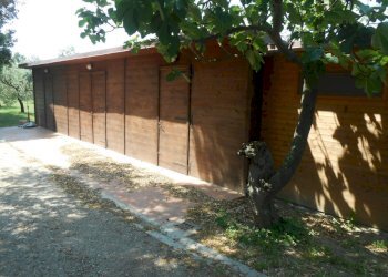 DSCN9905.JPG - Rustico Via per massaciuccoli, San Giuliano Terme - foto 18