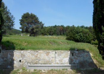 DSCN9906.JPG - Rustico Via per massaciuccoli, San Giuliano Terme - foto 19