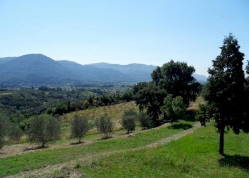 SDC12166.JPG - Rustico Via per massaciuccoli, San Giuliano Terme - foto 29