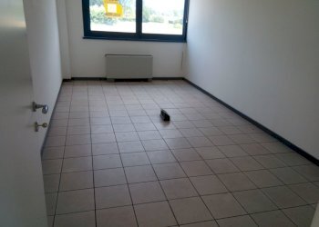 IMG_20170527_124608.jpg - Ufficio Via Vecchi Pardini, Lucca - foto 11