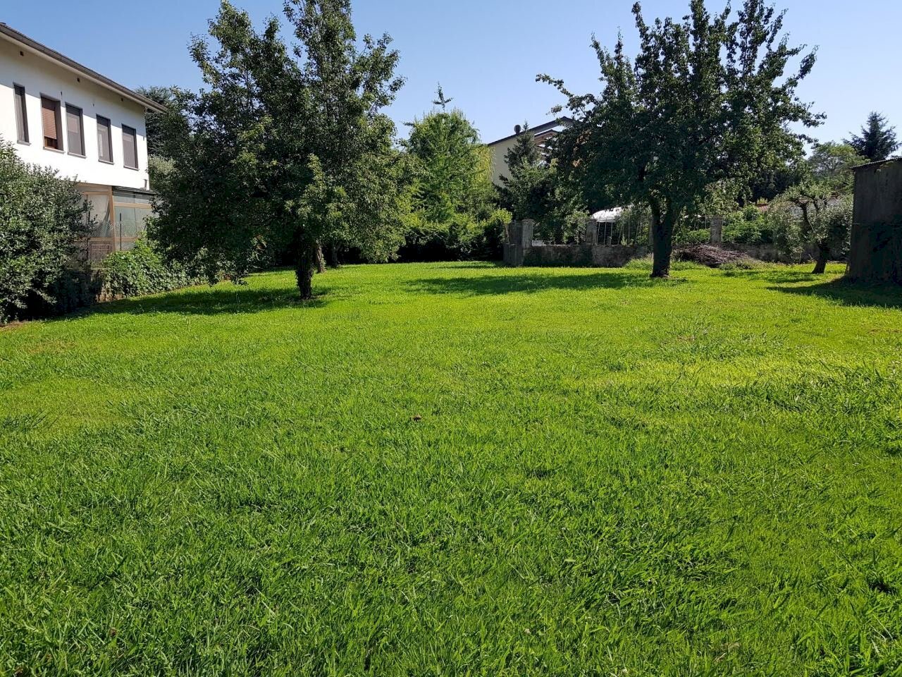 20200625_164756.jpg - Terratetto - Terracielo Via Sant'Angelo, Lucca - foto 3