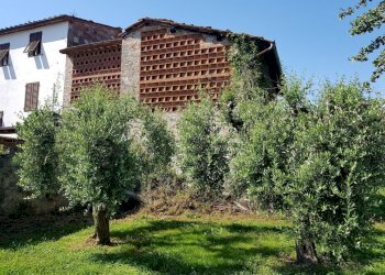 20200625_162816.jpg - Terratetto - Terracielo Via Sant'Angelo, Lucca - foto 2