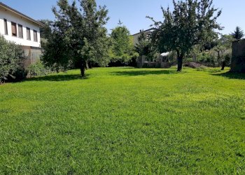 20200625_164756.jpg - Terratetto - Terracielo Via Sant'Angelo, Lucca - foto 3