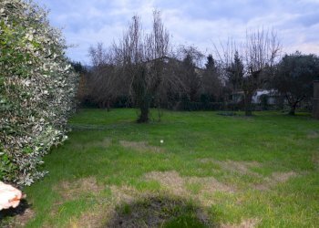 DSC_0167.JPG - Terratetto - Terracielo Via Sant'Angelo, Lucca - foto 6