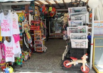 07e9edc71b014ef3aa90cb31264fa4b0.jpg - Edicole - Edicole con Chiosco Corte Compagni, Lucca - foto 3