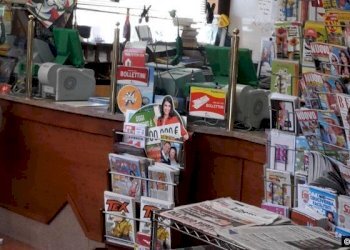 415_1470056155-1.jpg_large.jpg - Edicole - Edicole con Chiosco Corte Compagni, Lucca - foto 7